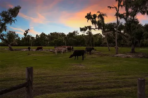 30854 Singletary Road Myakka City FL 34251