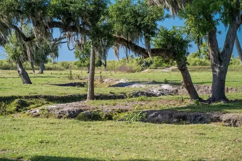 30854 Singletary Road Myakka City FL 34251