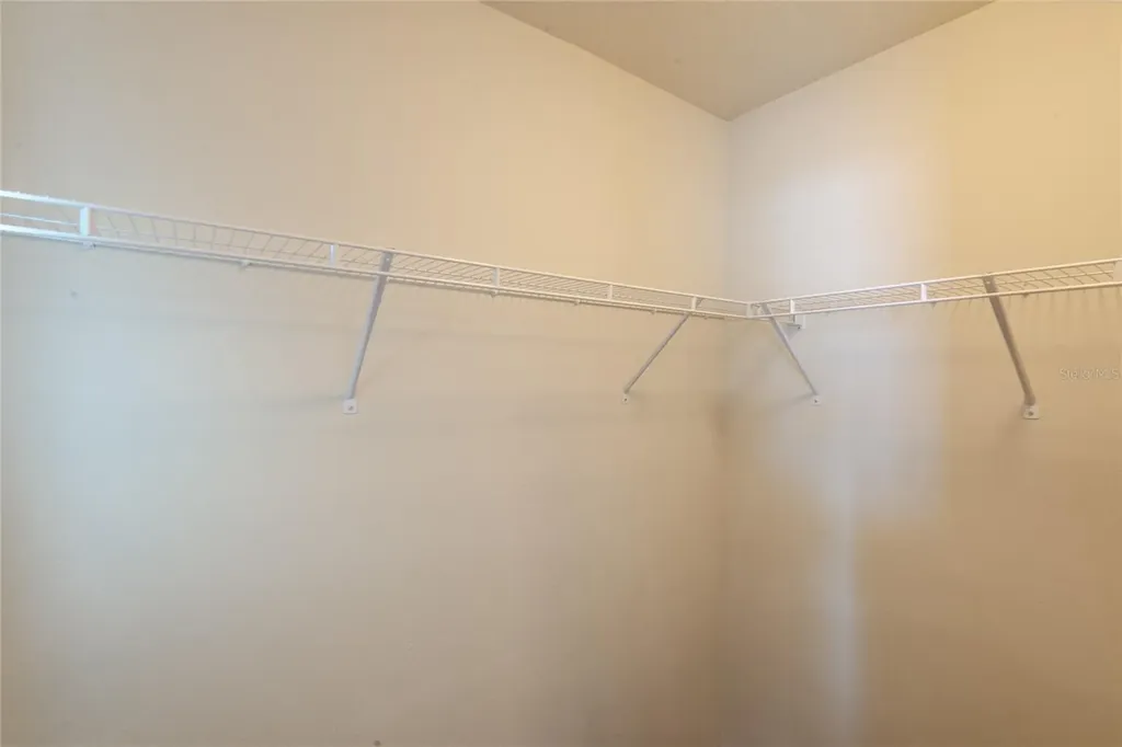 4912 White Sanderling Court Tampa FL 33619