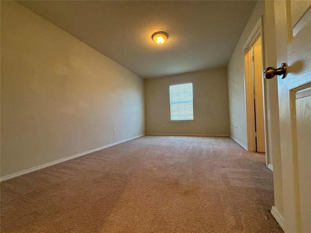 4912 White Sanderling Court Tampa FL 33619