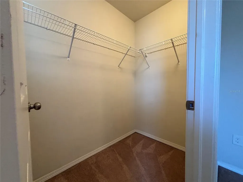 4912 White Sanderling Court Tampa FL 33619