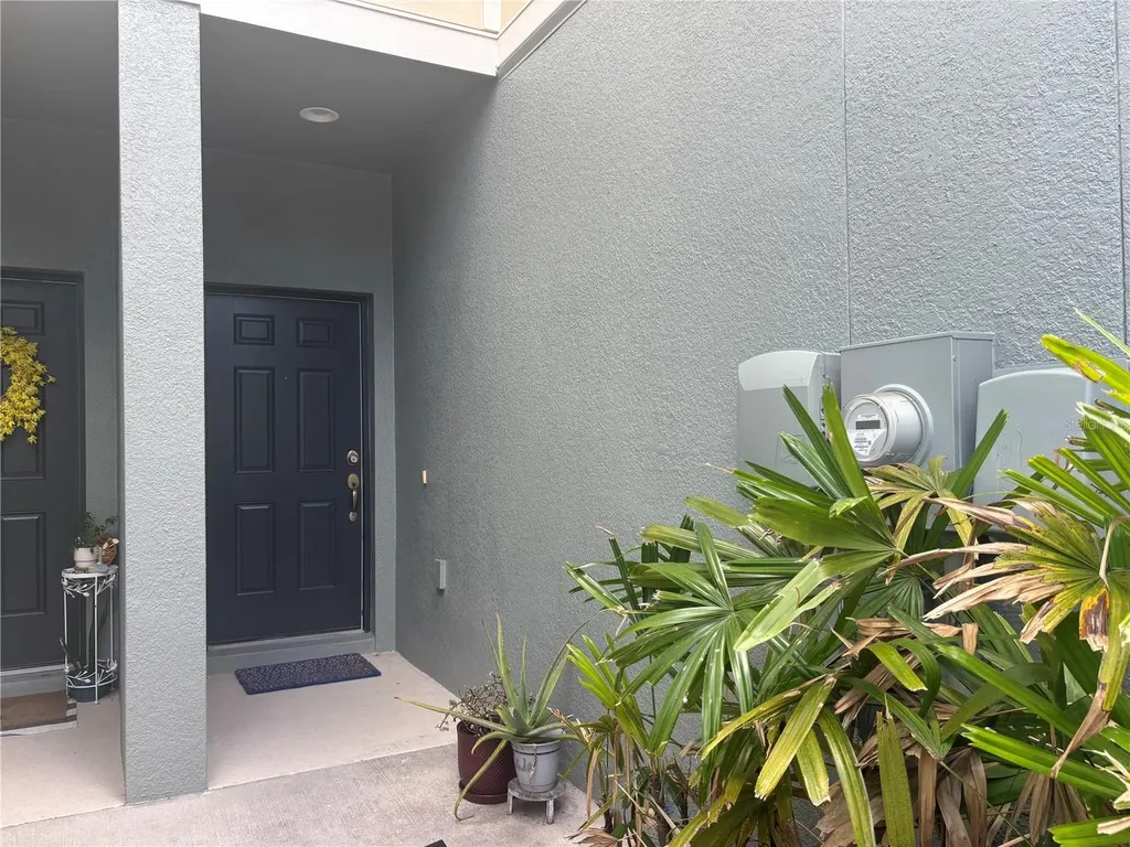 4912 White Sanderling Court Tampa FL 33619