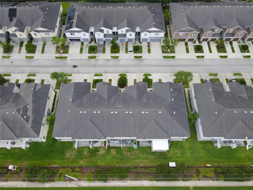 4912 White Sanderling Court Tampa FL 33619