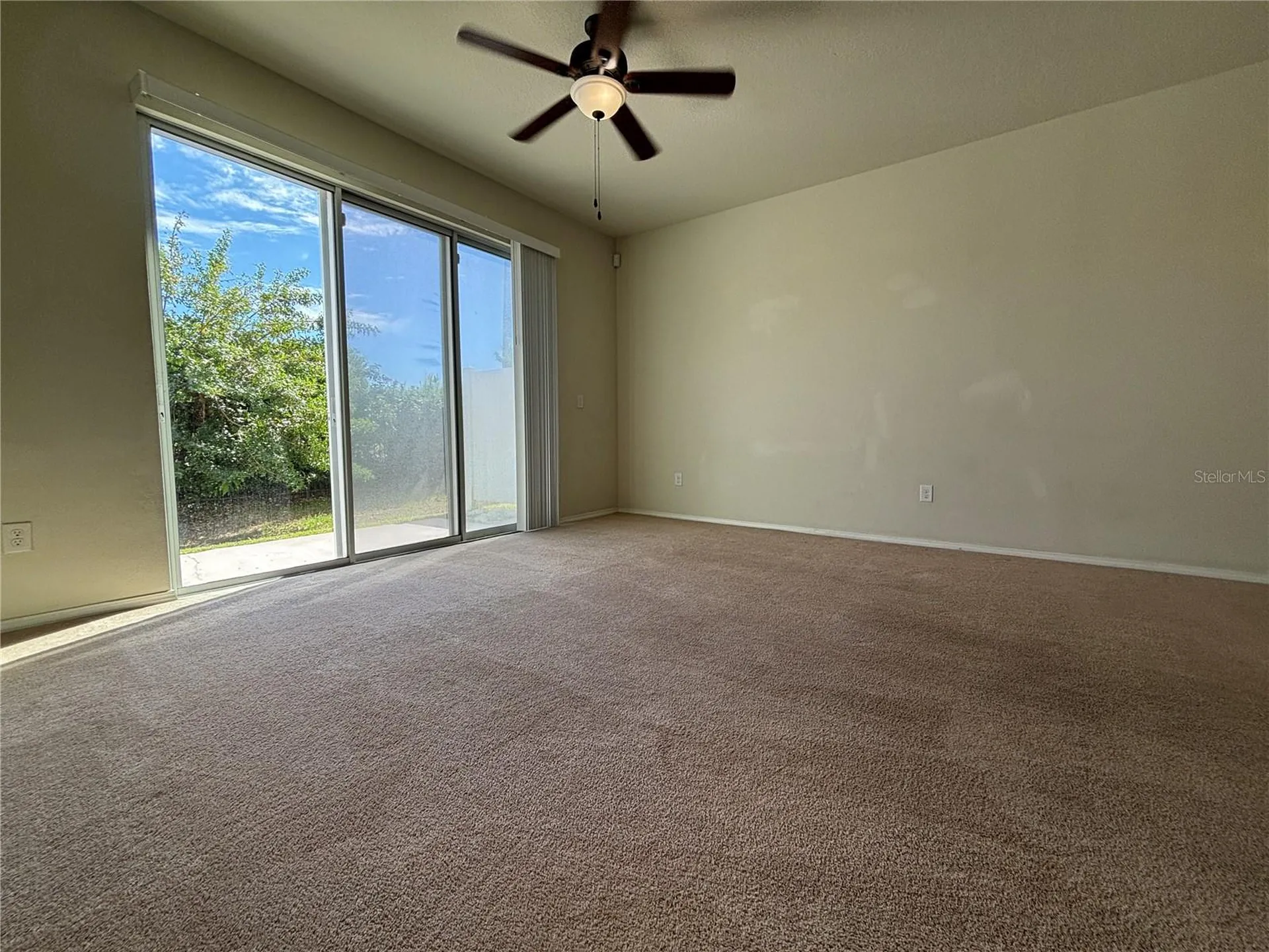 4912 White Sanderling Court Tampa FL 33619