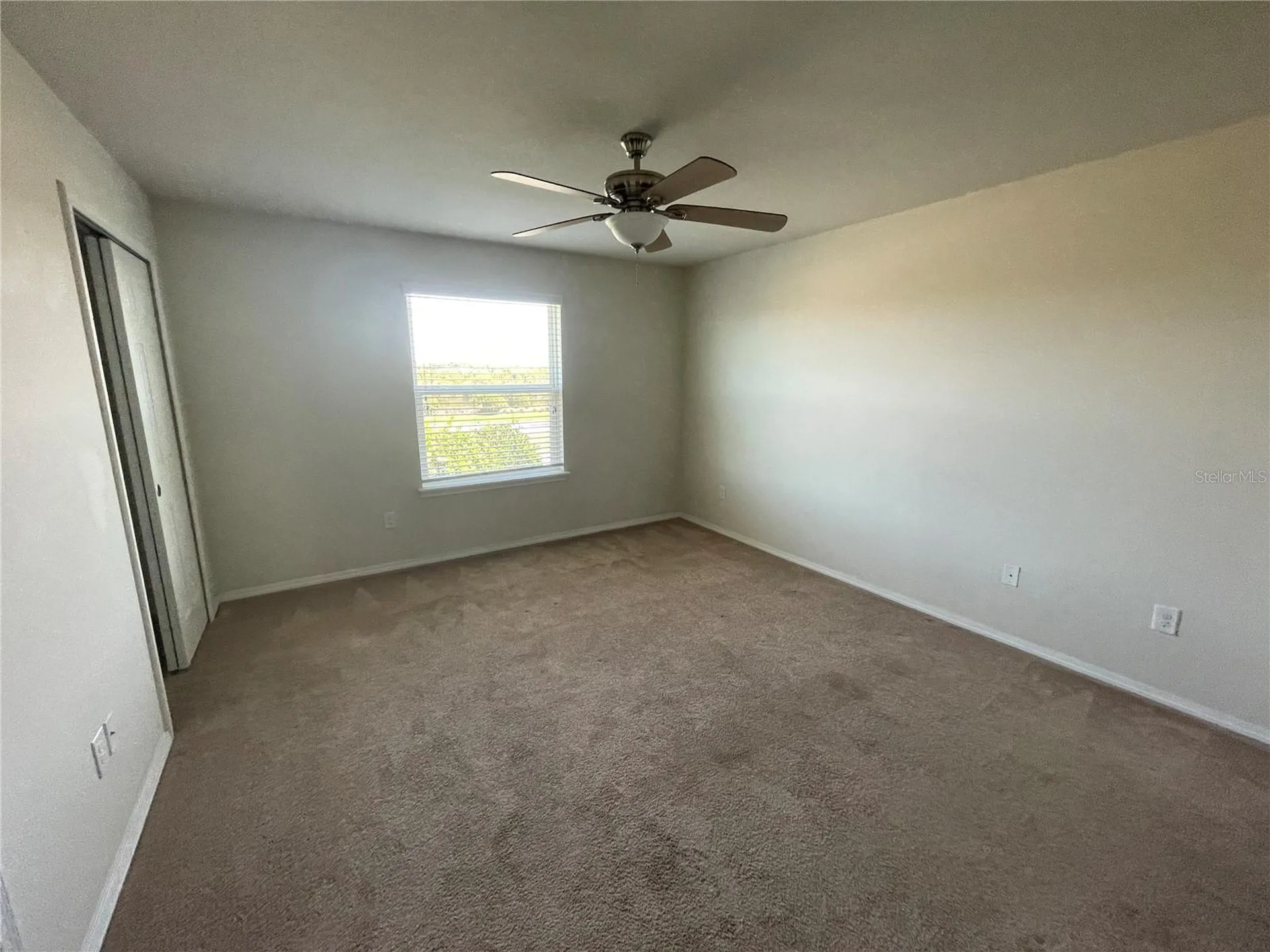4912 White Sanderling Court Tampa FL 33619