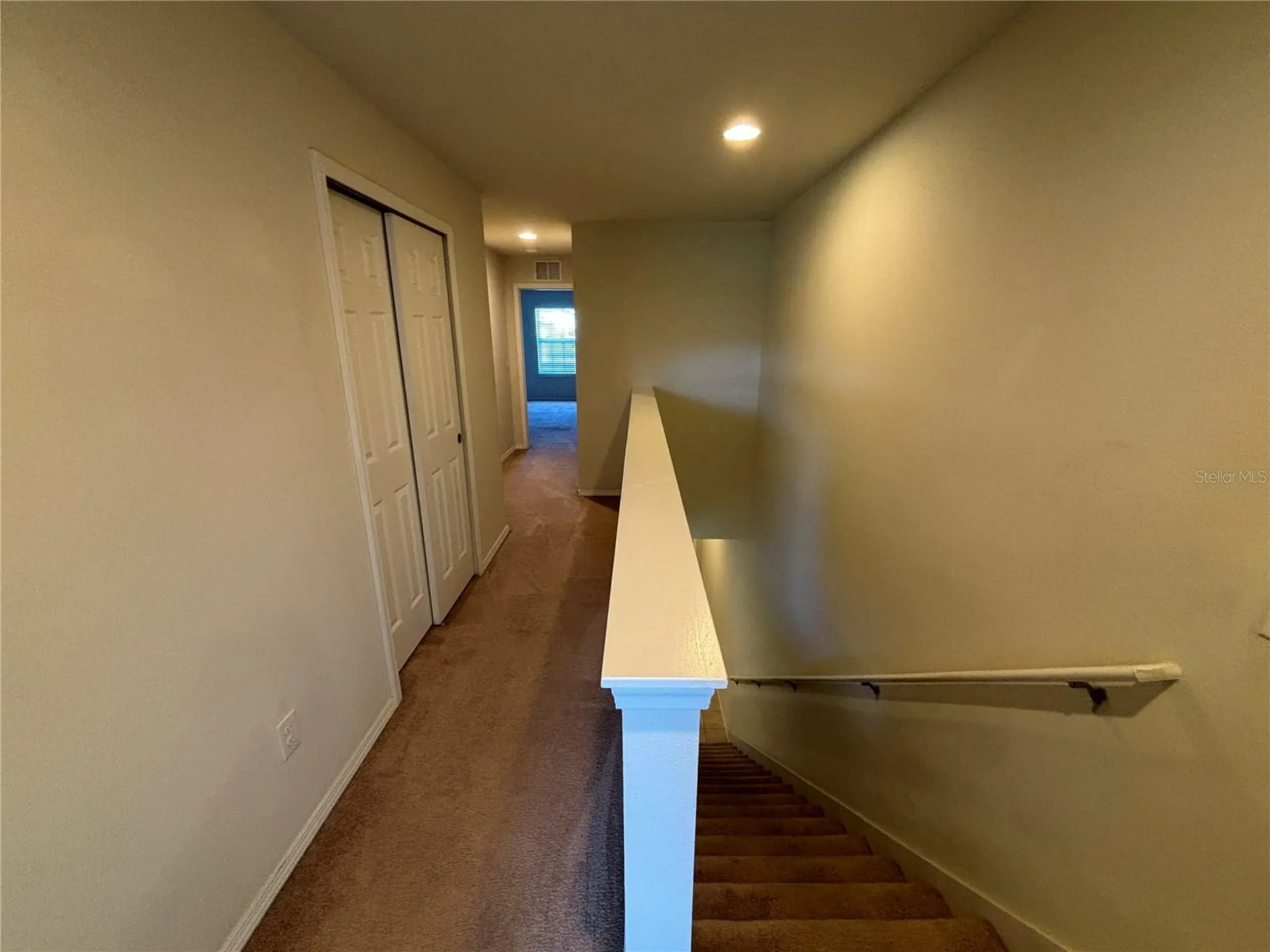 4912 White Sanderling Court Tampa FL 33619