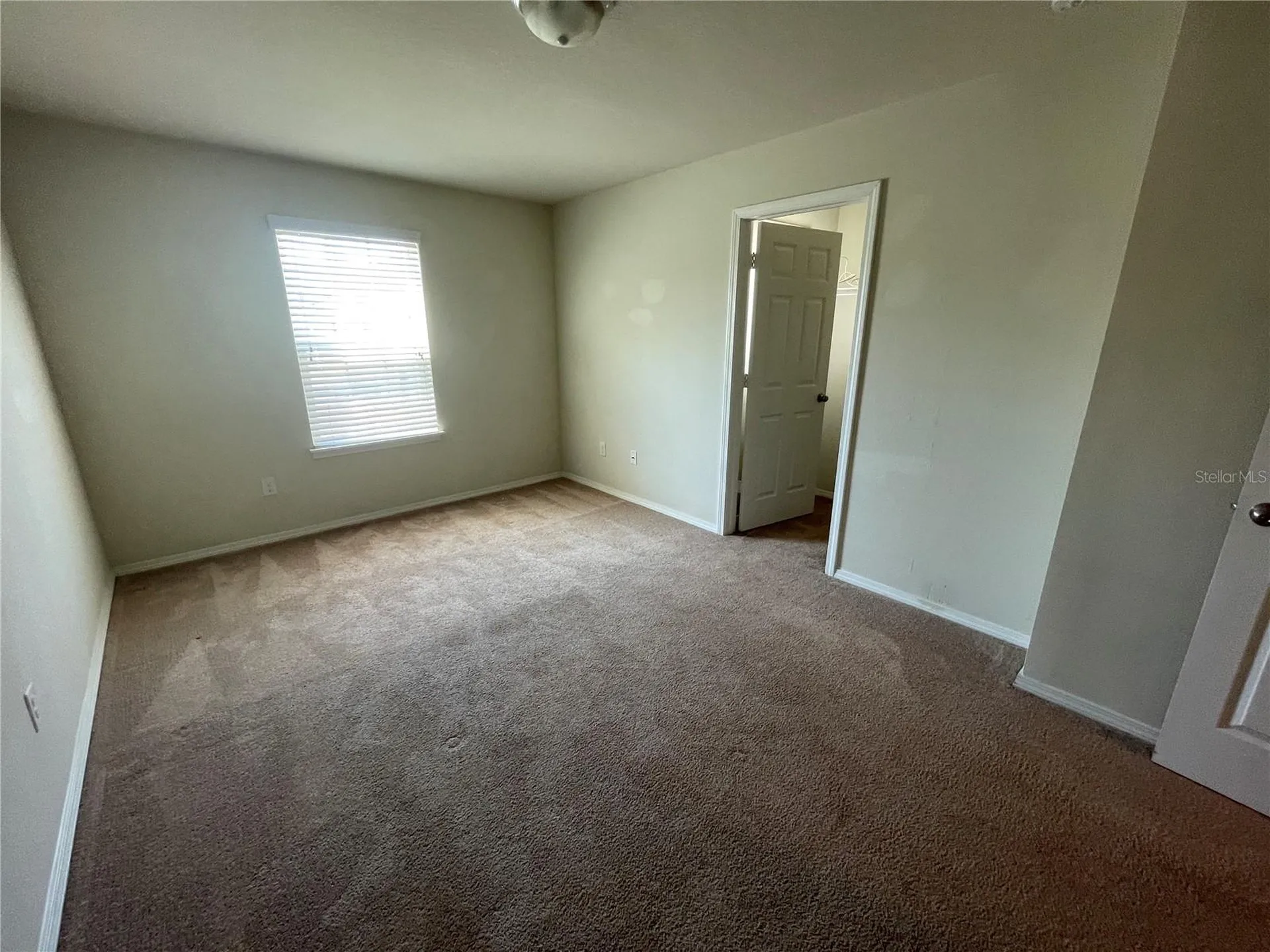 4912 White Sanderling Court Tampa FL 33619