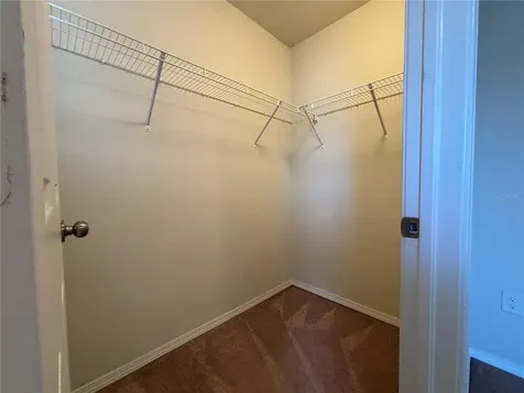 4912 White Sanderling Court Tampa FL 33619