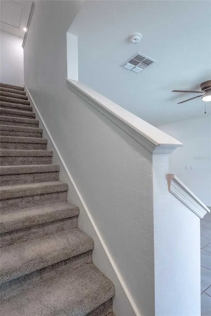 11147 Crescent Deer Drive Land O Lakes FL 34638
