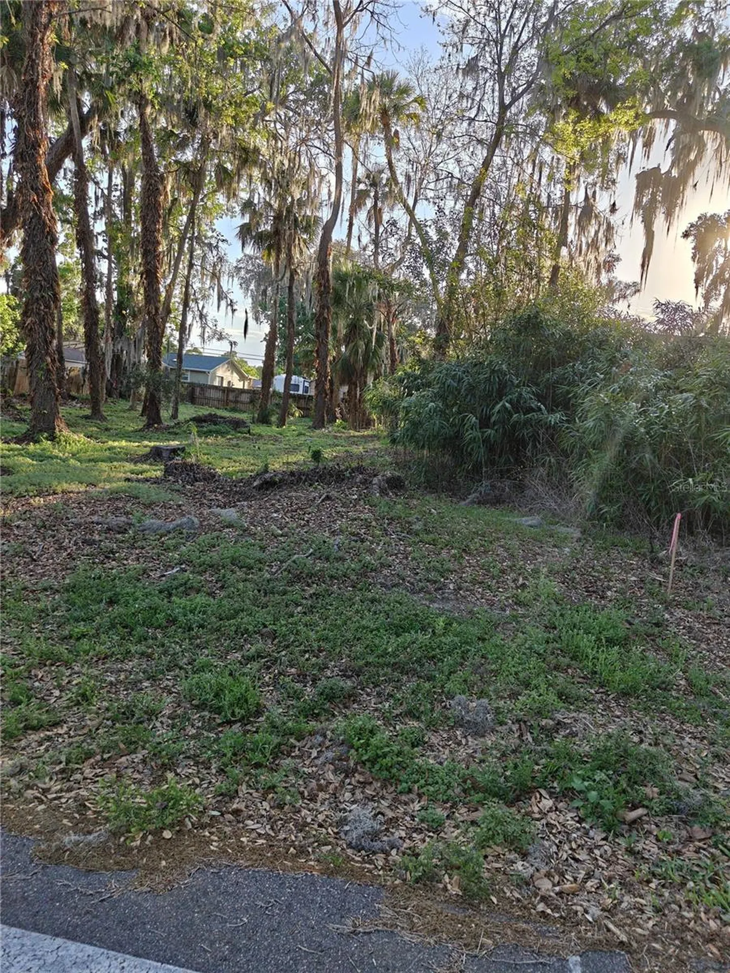 2214 Needle Palm Drive Edgewater FL 32141