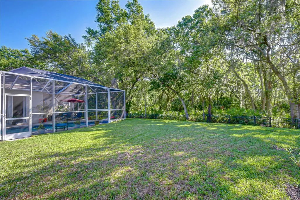 16918 Harrierridge Place Lithia FL 33547