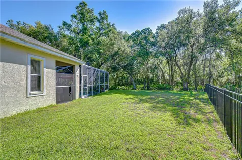 16918 Harrierridge Place Lithia FL 33547