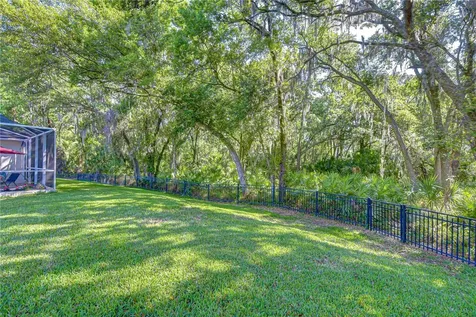 16918 Harrierridge Place Lithia FL 33547
