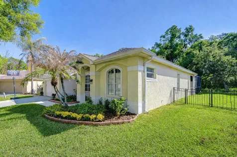 16918 Harrierridge Place Lithia FL 33547