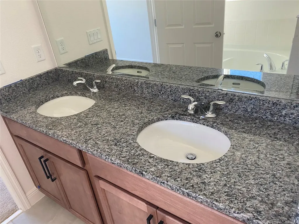 4842 Gilded Jewel Drive Mount Dora FL 32757