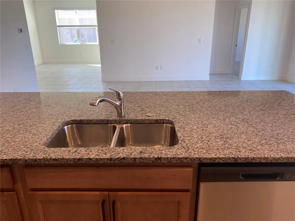 4842 Gilded Jewel Drive Mount Dora FL 32757