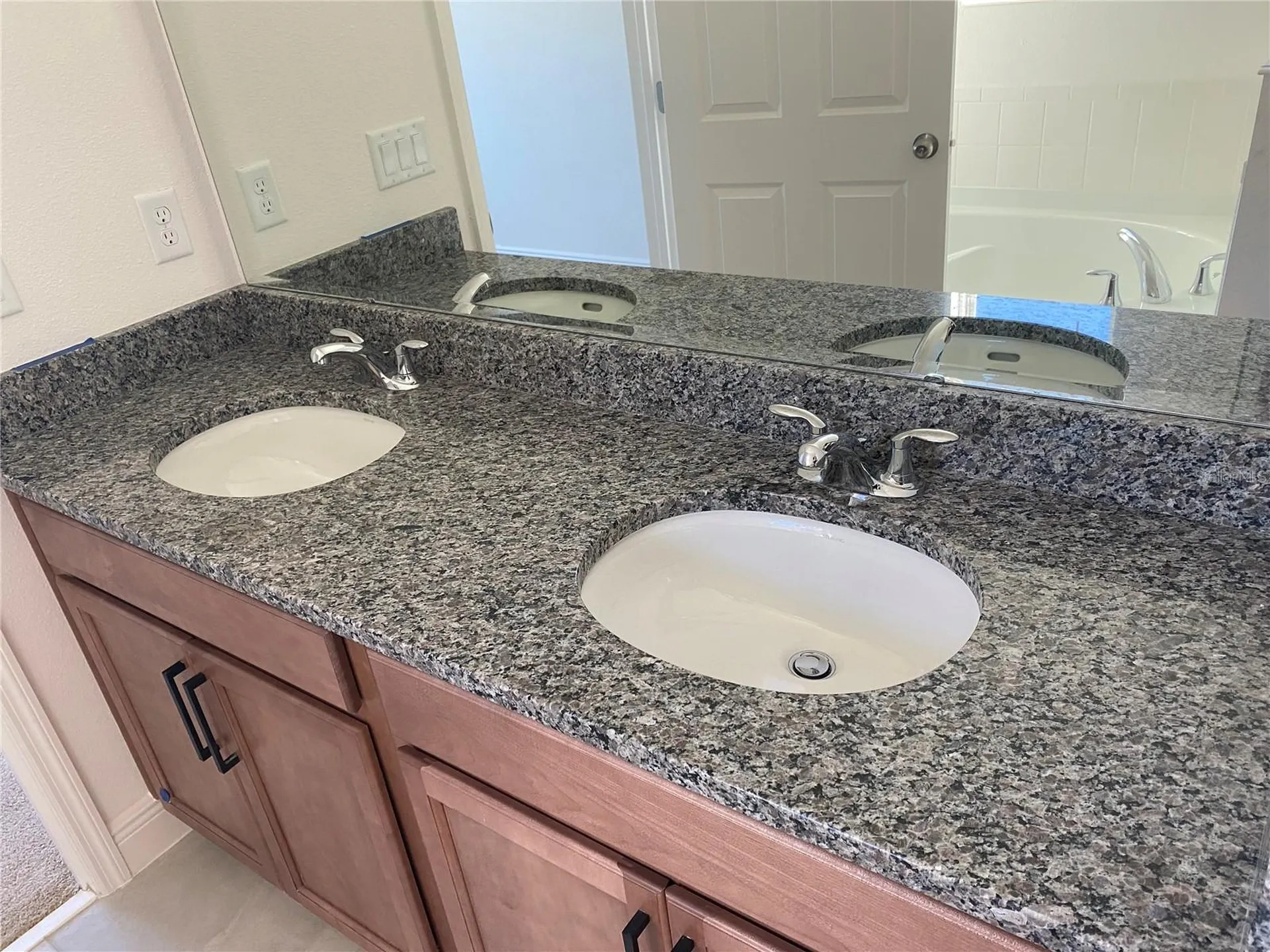 4842 Gilded Jewel Drive Mount Dora FL 32757