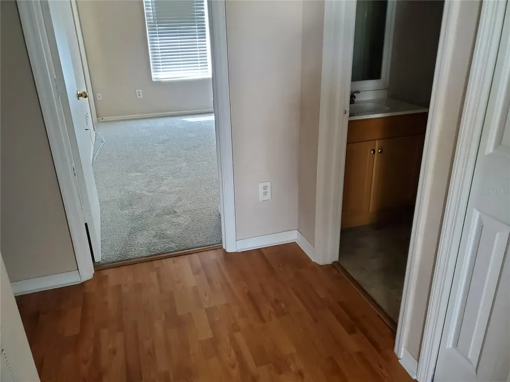 1411 Sedgwick Drive Wesley Chapel FL 33543