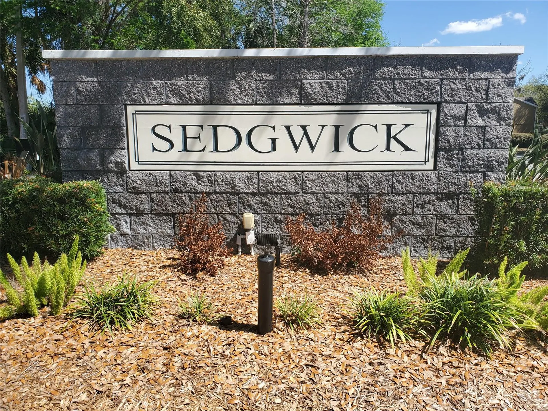 1411 Sedgwick Drive Wesley Chapel FL 33543