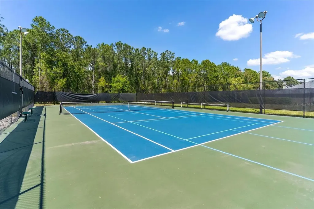 3001 Isola Bella Boulevard Mount Dora FL 32757