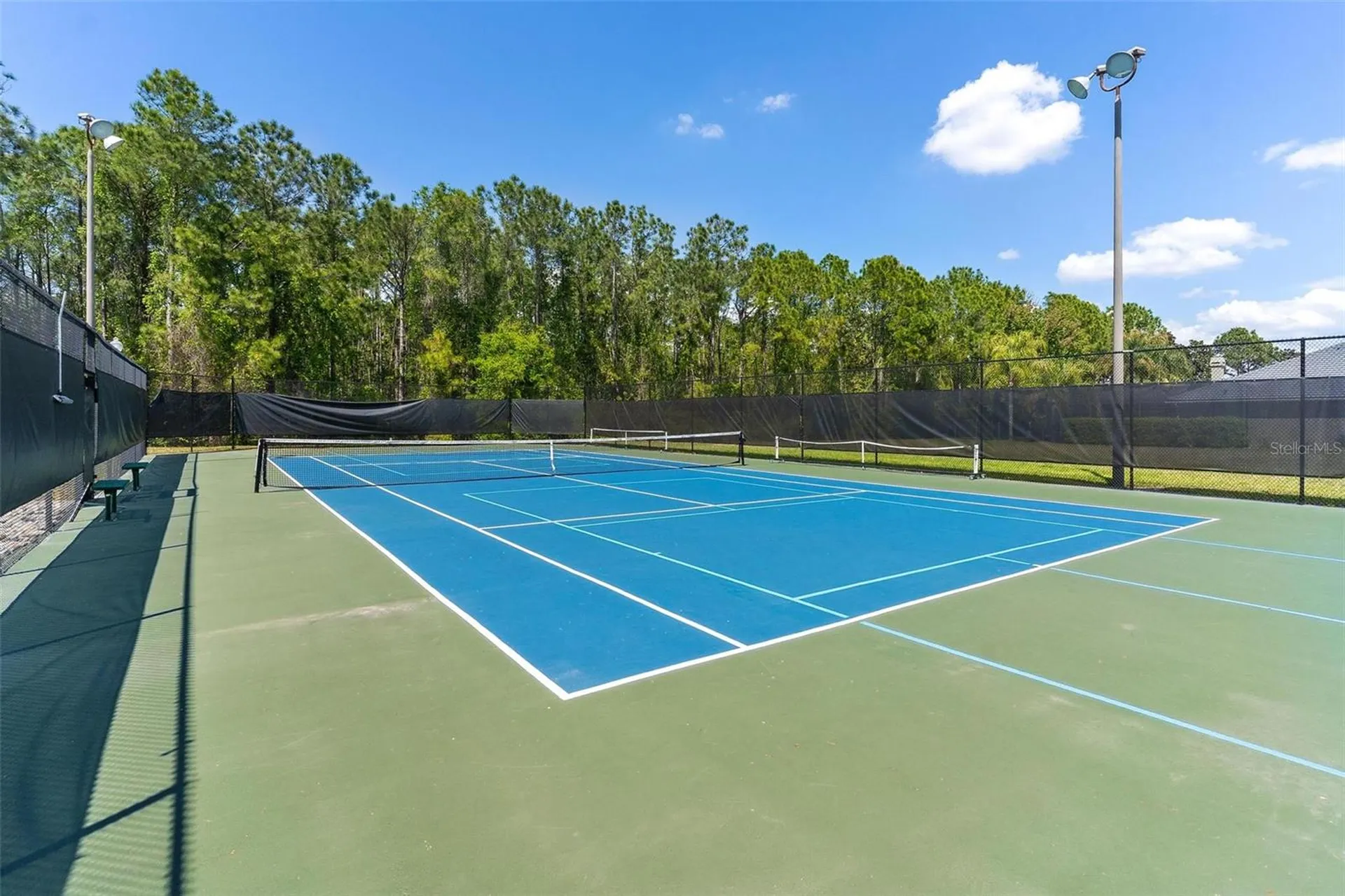 3001 Isola Bella Boulevard Mount Dora FL 32757