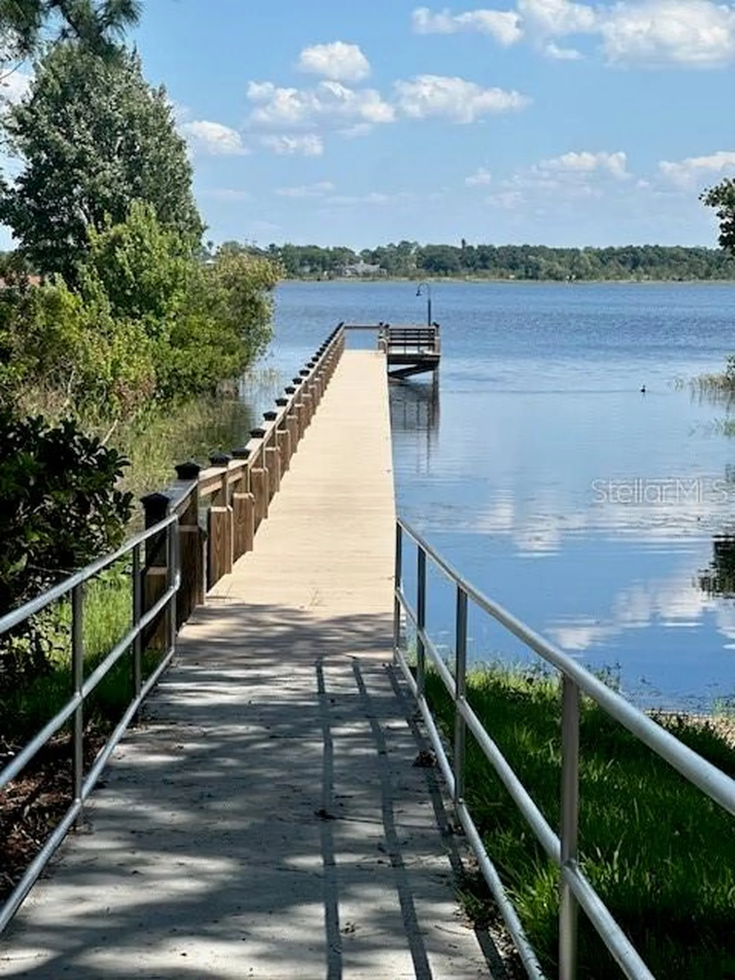 3001 Isola Bella Boulevard Mount Dora FL 32757