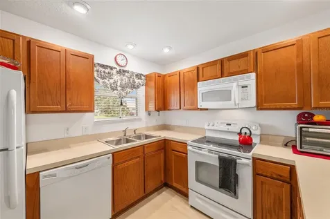 2239 Baldwin Run The Villages FL 32162