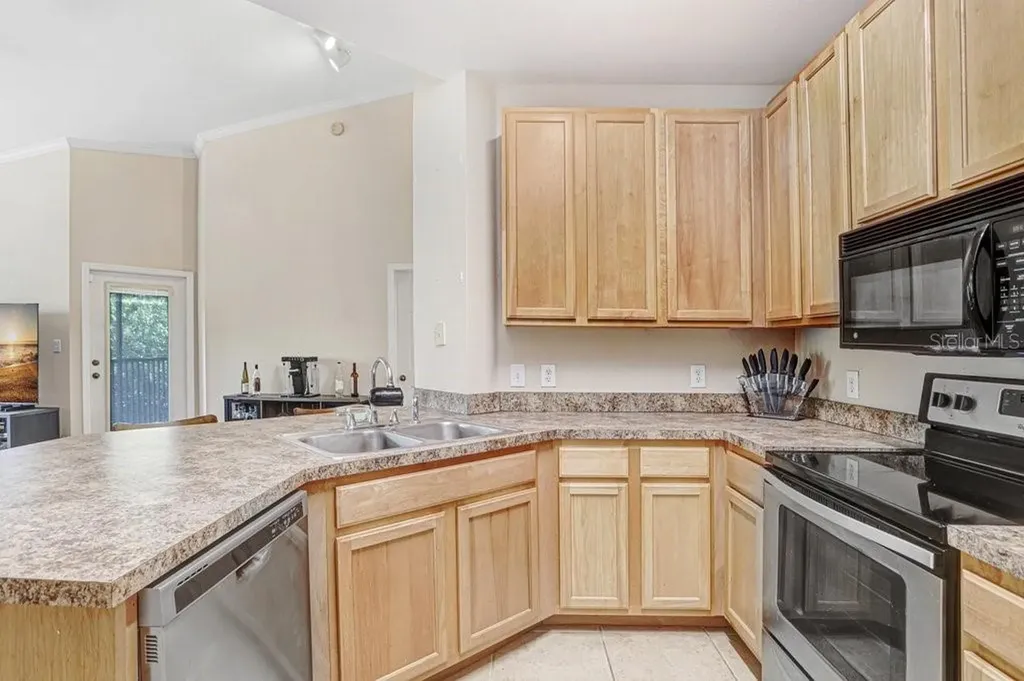 2407 Courtney Meadows Court Tampa FL 33619