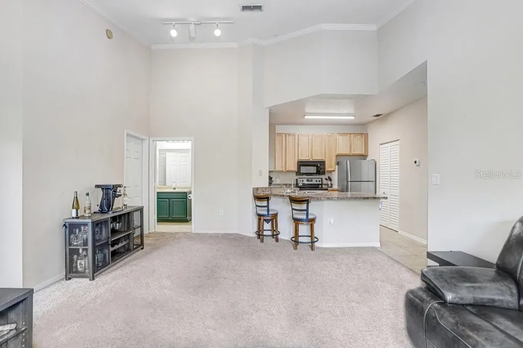 2407 Courtney Meadows Court Tampa FL 33619