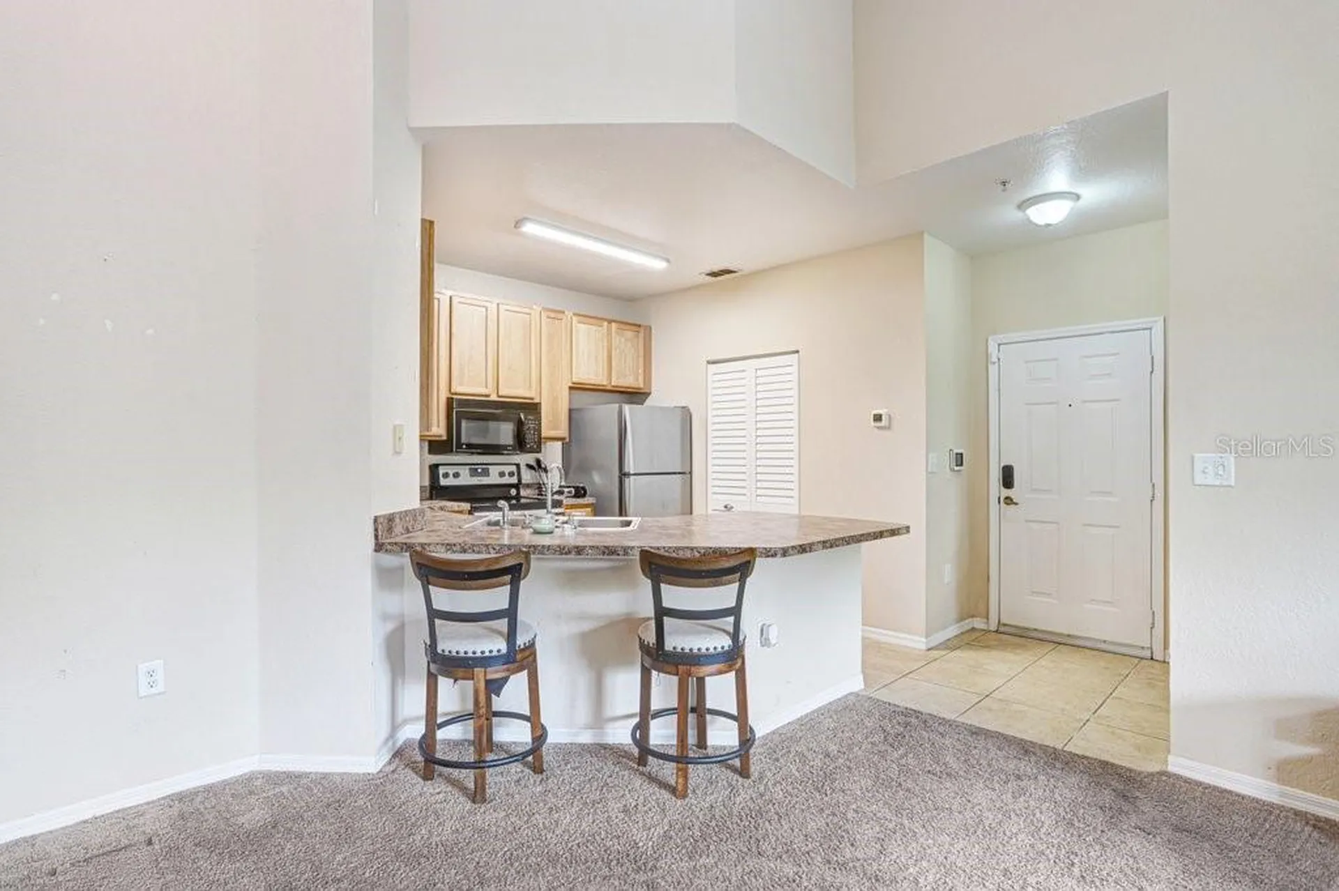 2407 Courtney Meadows Court Tampa FL 33619