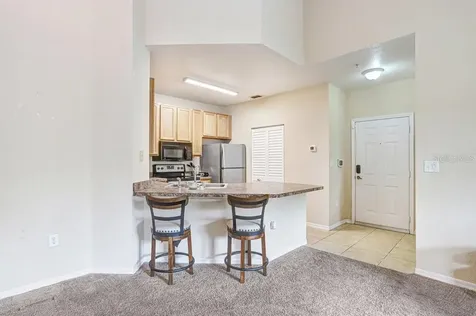 2407 Courtney Meadows Court Tampa FL 33619