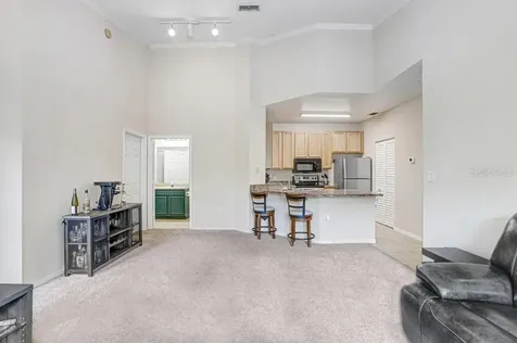 2407 Courtney Meadows Court Tampa FL 33619