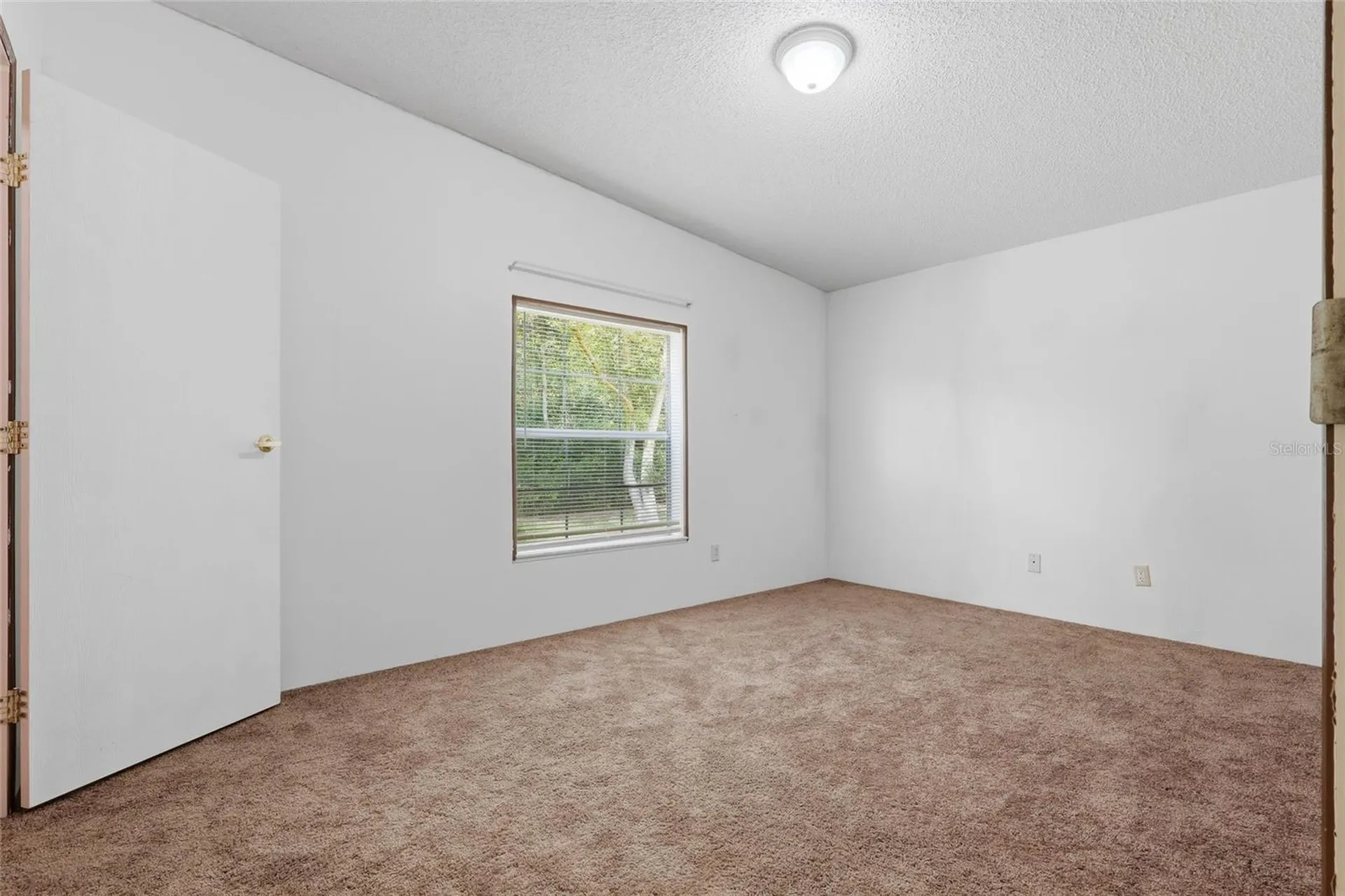 7140 Elwood Road Zephyrhills FL 33540