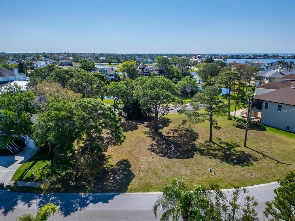N Pointe Alexis Drive Tarpon Springs FL 34689