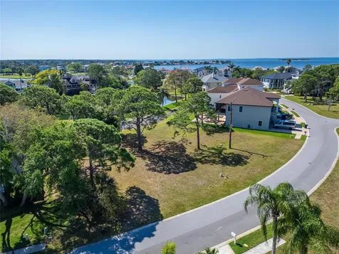 N Pointe Alexis Drive Tarpon Springs FL 34689