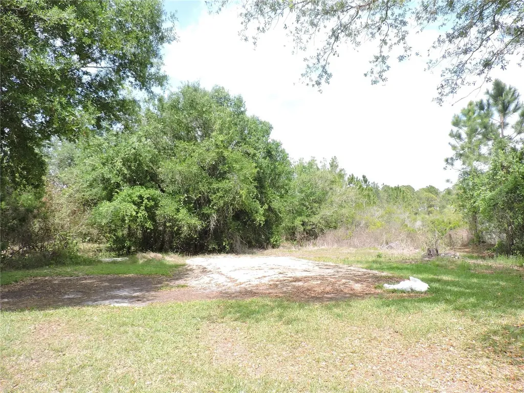294 Tiger Lake Road Lake Wales FL 33898