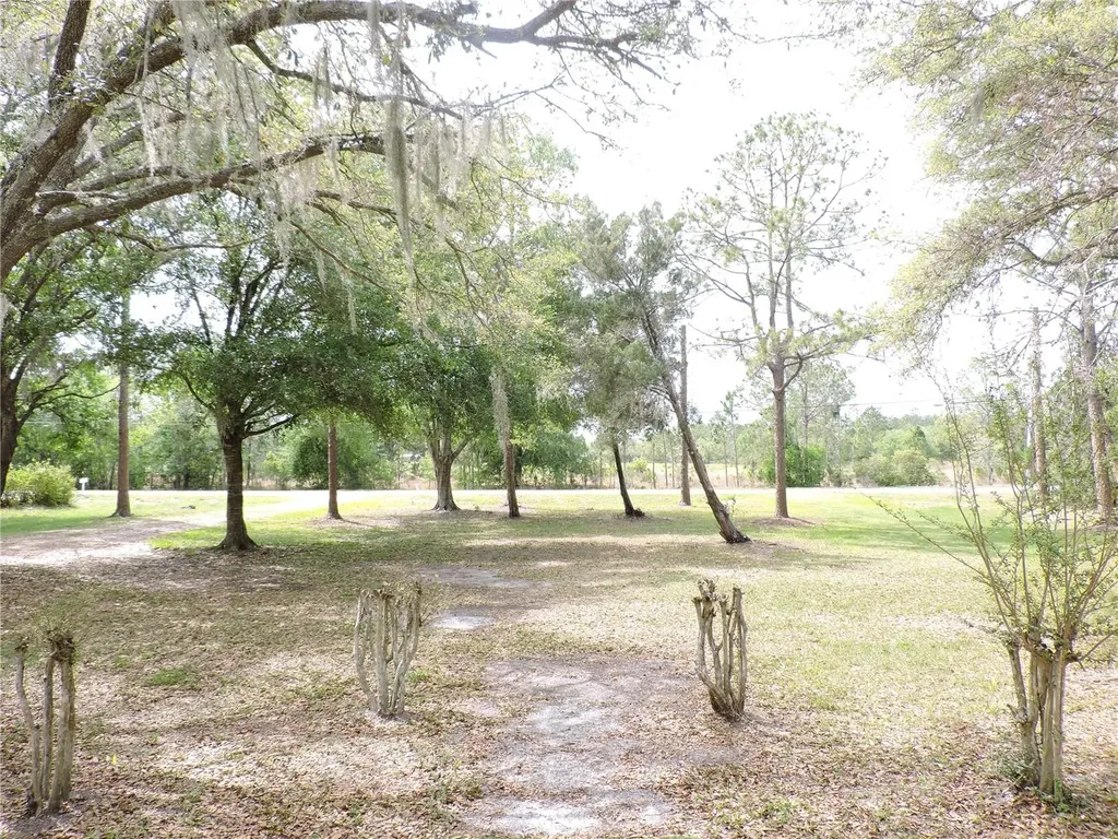 294 Tiger Lake Road Lake Wales FL 33898