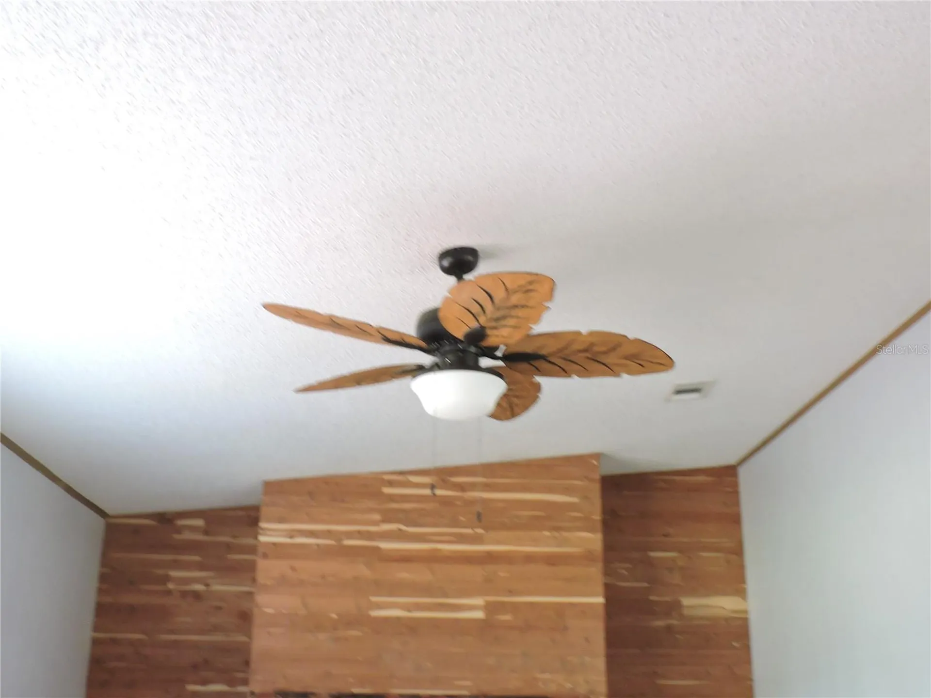 294 Tiger Lake Road Lake Wales FL 33898