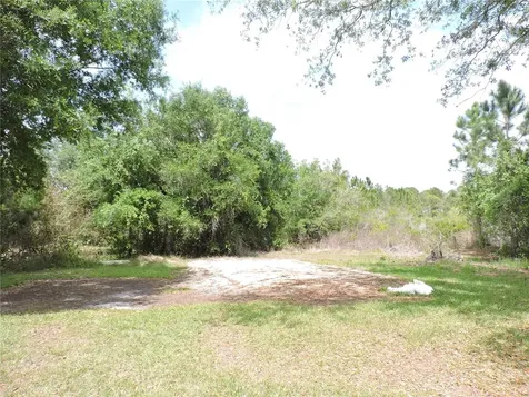 294 Tiger Lake Road Lake Wales FL 33898