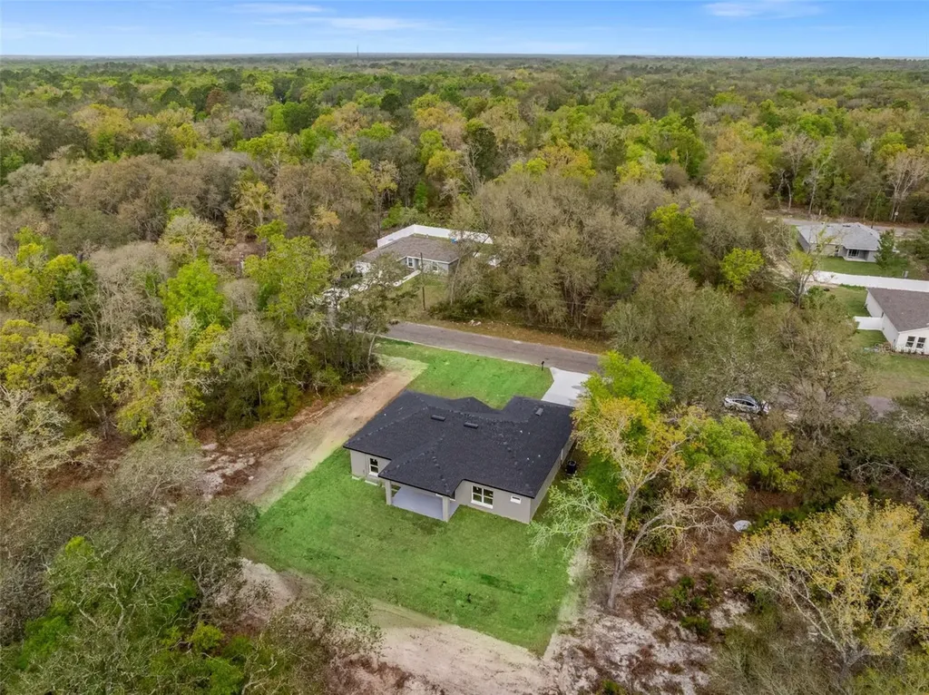 110 Guava Place Drive Ocklawaha FL 32179