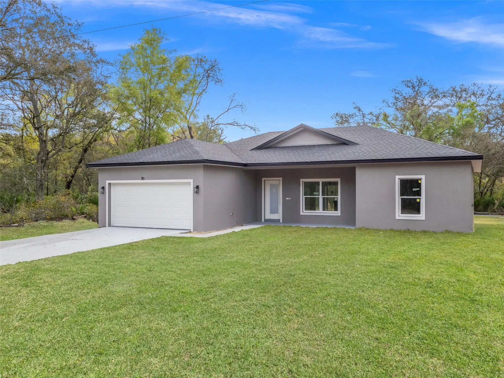 110 Guava Place Drive Ocklawaha FL 32179