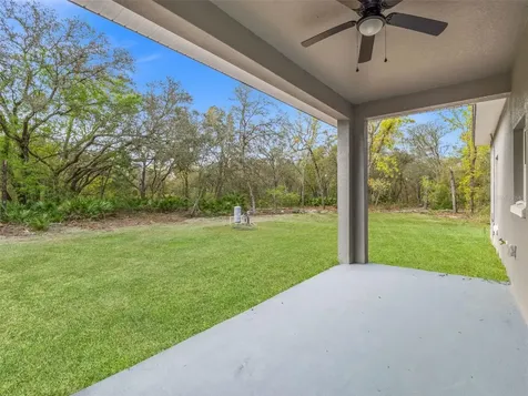 110 Guava Place Drive Ocklawaha FL 32179