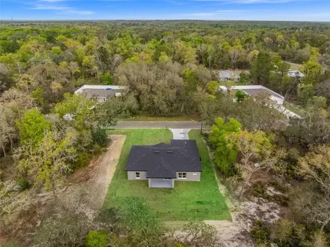 110 Guava Place Drive Ocklawaha FL 32179