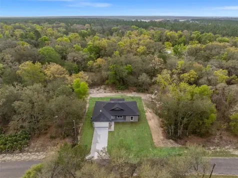 110 Guava Place Drive Ocklawaha FL 32179