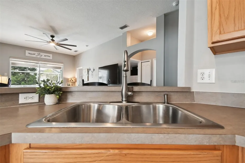 7655 Citrus Blossom Drive Land O Lakes FL 34637