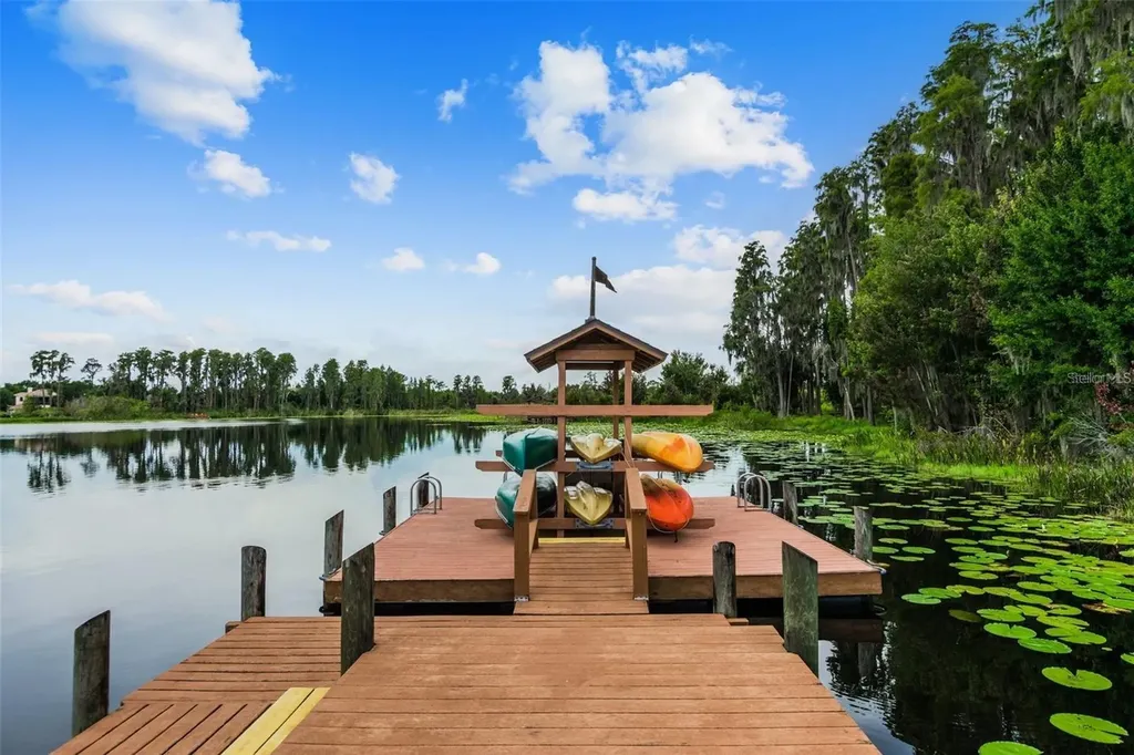 7655 Citrus Blossom Drive Land O Lakes FL 34637