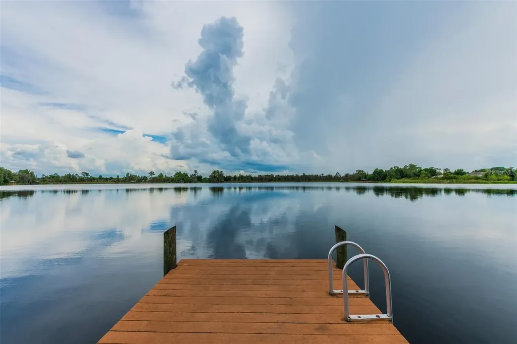 7655 Citrus Blossom Drive Land O Lakes FL 34637