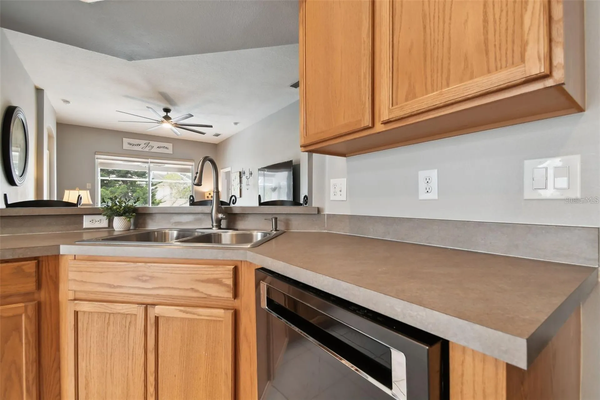 7655 Citrus Blossom Drive Land O Lakes FL 34637
