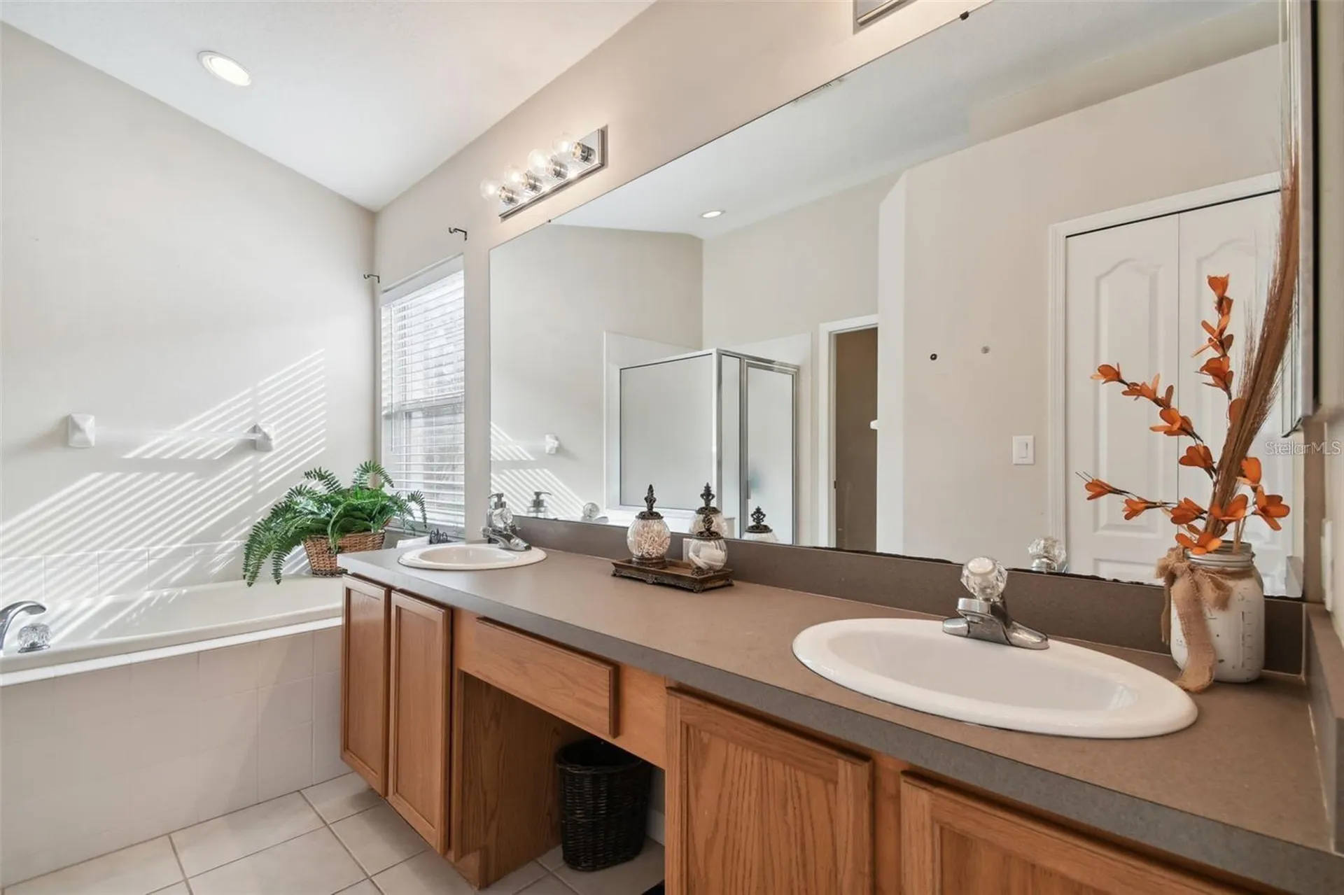 7655 Citrus Blossom Drive Land O Lakes FL 34637