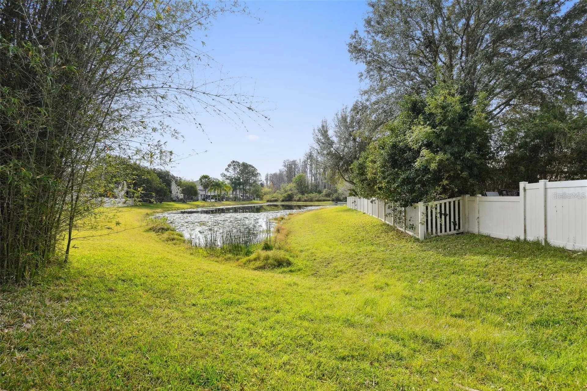 7655 Citrus Blossom Drive Land O Lakes FL 34637